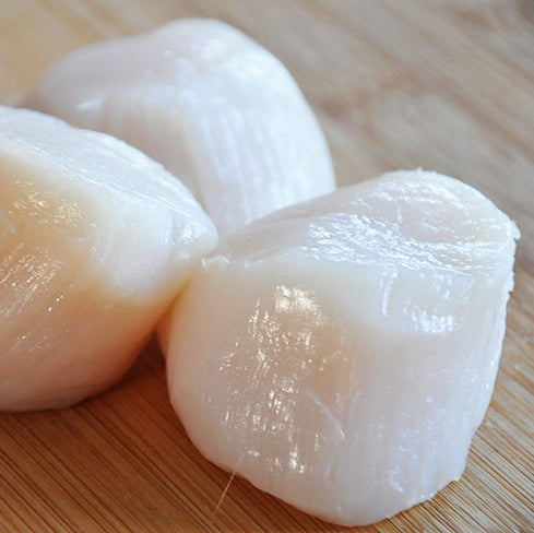 Dayboat Scallops