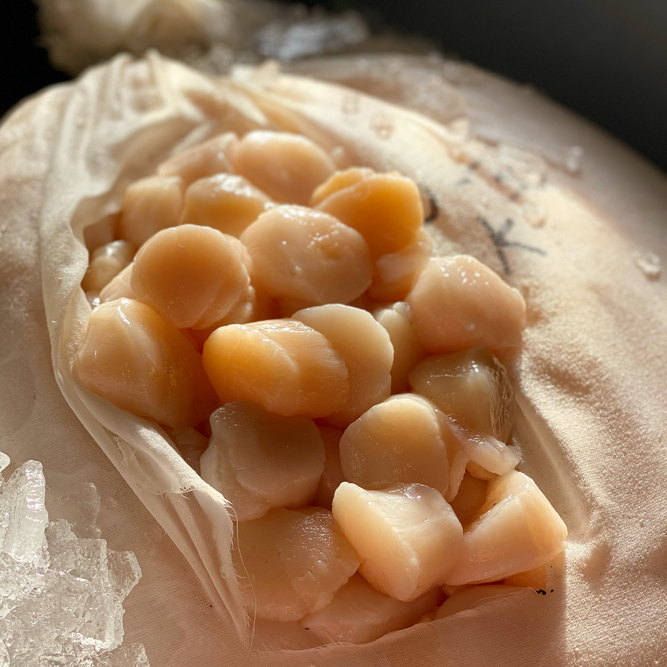 a close up of raw scallops