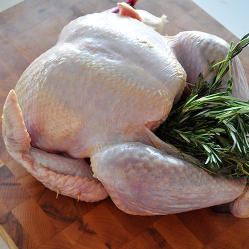 A raw whole turkey placed on a wooden cutting board, stuffed with a bundle of fresh green herbs.