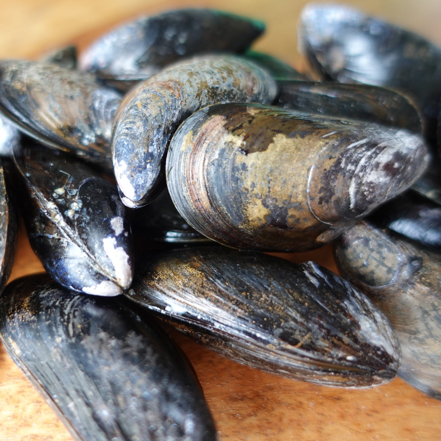 Bangs Island Mussels