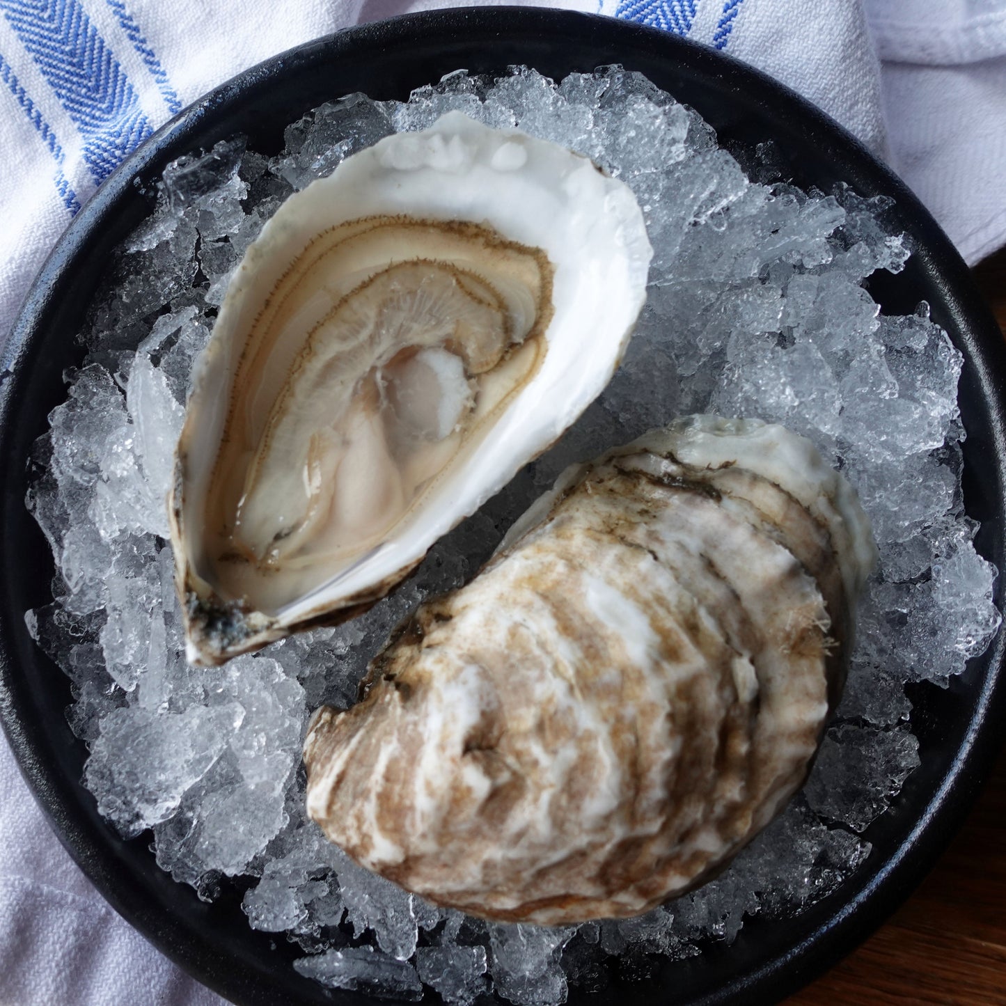 South Bay Blonde Oysters (each)
