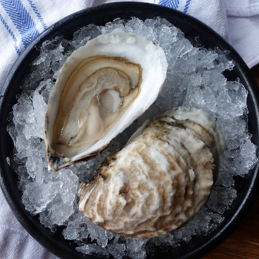 South Bay Blonde Oysters (each)