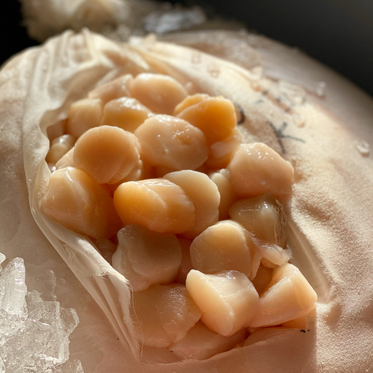 a close up of raw scallops