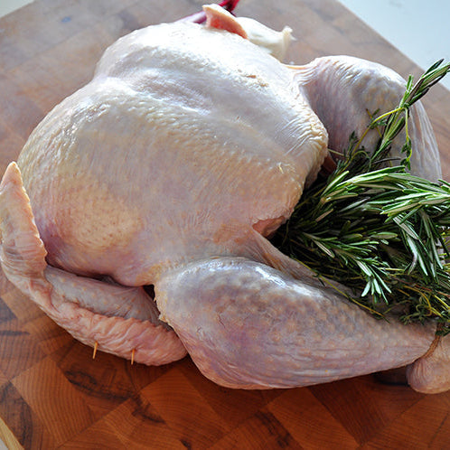 A raw whole turkey placed on a wooden cutting board, stuffed with a bundle of fresh green herbs.