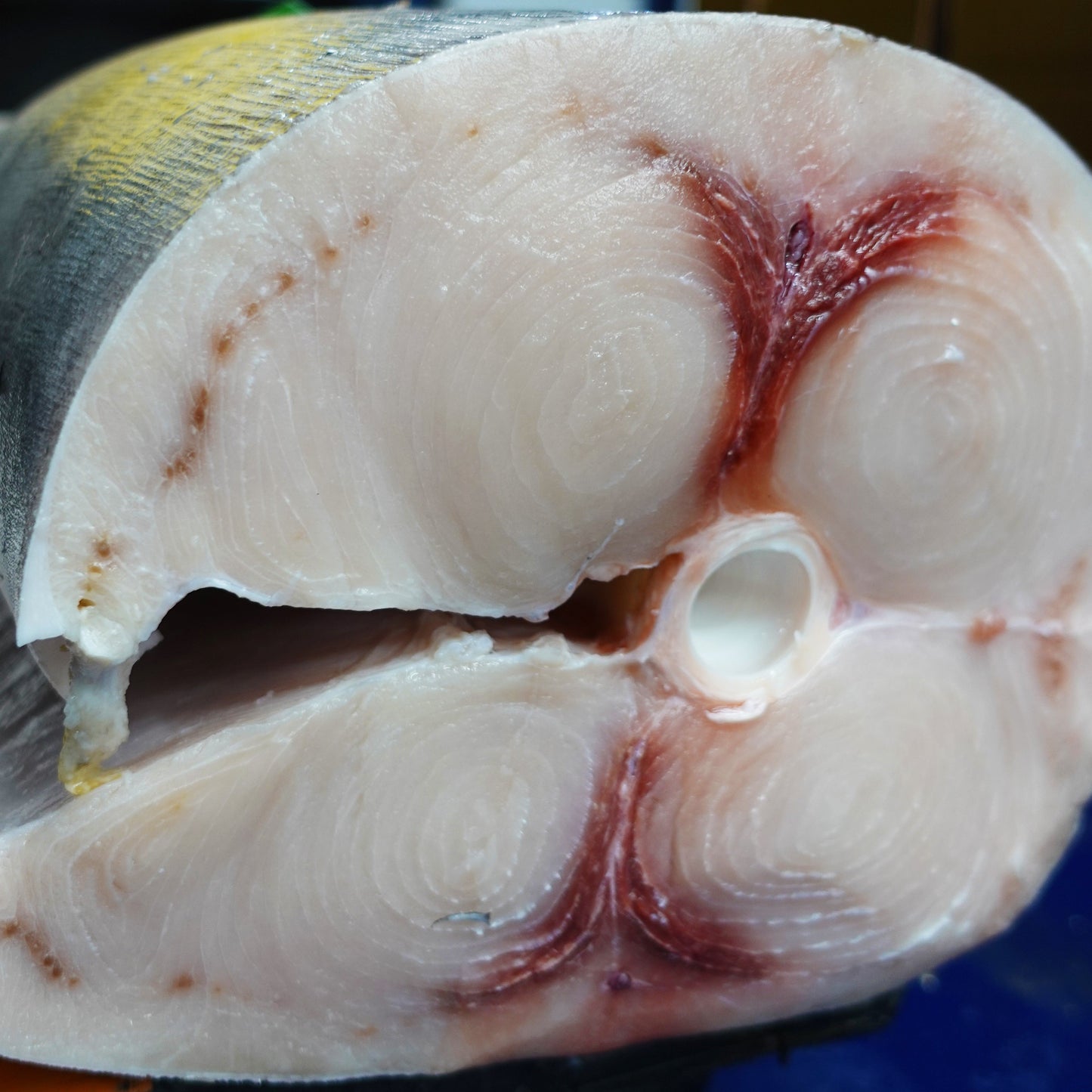 A close shot swordfish